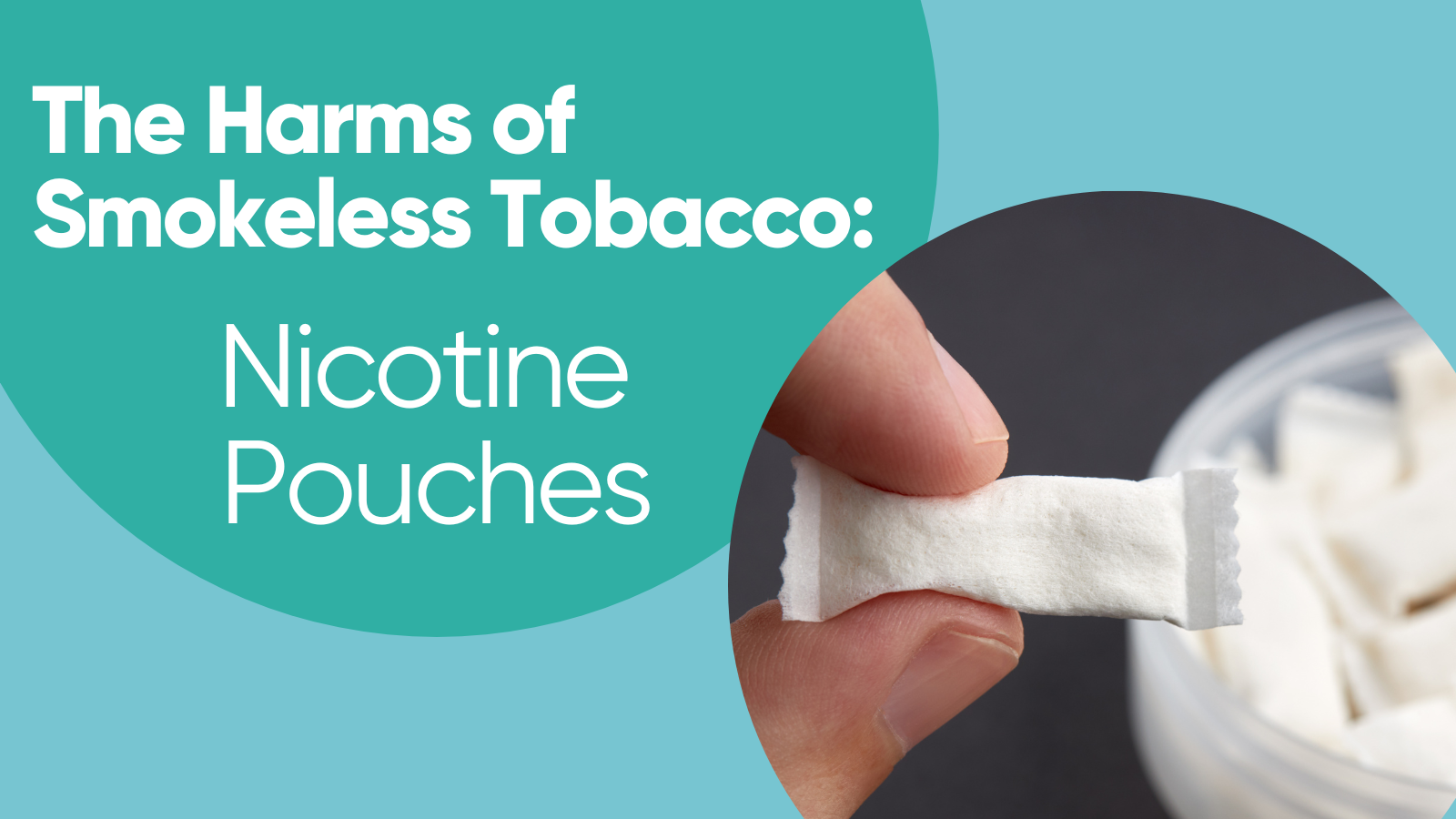 The Harms of Smokeless Tobacco: Nicotine Pouches